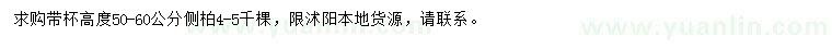 求購(gòu)高度50-60公分側(cè)柏