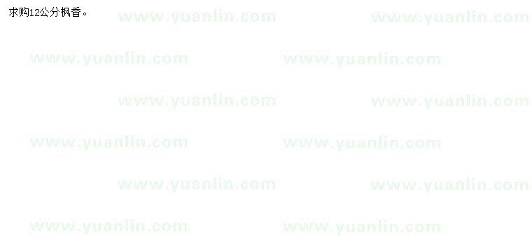 求購(gòu)12公分楓香