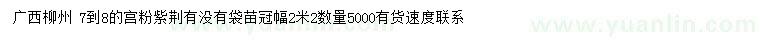 求購(gòu)7-8公分宮粉紫荊