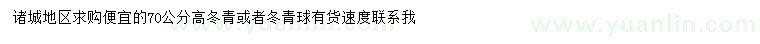 求購(gòu)高70公分冬青或者冬青球