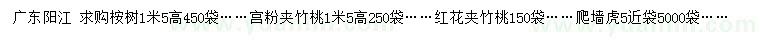 求購桉樹、宮粉夾竹桃、紅花夾竹桃等