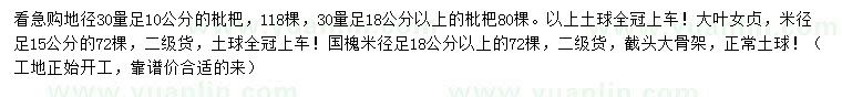求購(gòu)枇杷、大葉女貞、國(guó)槐