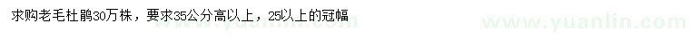 求購高35公分以上老毛杜鵑