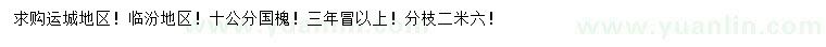 求購10公分國槐