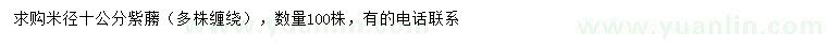 求購(gòu)米徑10公分紫蕂（多株纏繞）