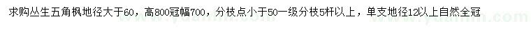 求購地徑大于60公分叢生五角楓