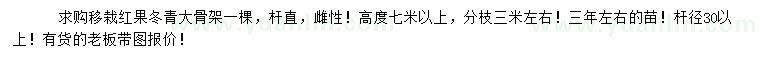 求購(gòu)高7米以上移栽紅果冬青