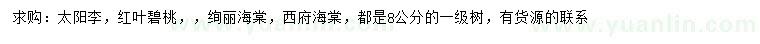 求購太陽李、紅葉碧桃、絢麗海棠等