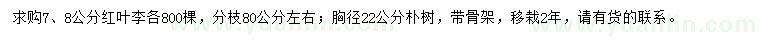 求購7、8公分紅葉李、胸徑22公分樸樹