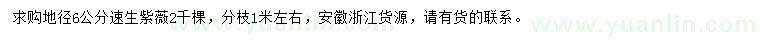 求購地徑6公分速生紫薇