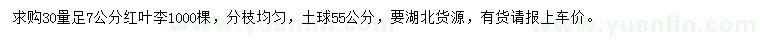 求購30量足7公分紅葉李