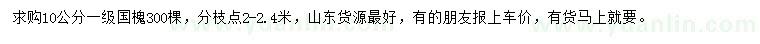 求購(gòu)10公分國(guó)槐