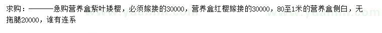 求購紫葉矮櫻、側(cè)柏、嫁接紅櫻