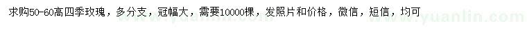 求購高50-60公分四季玫瑰