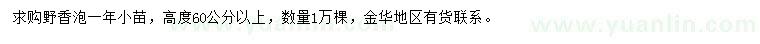 求購高60公分以上野香泡小苗