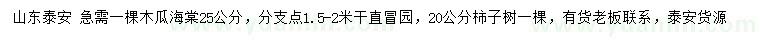 求購25公分木瓜海棠、20公分柿子樹