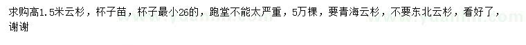求購高1.5米云杉