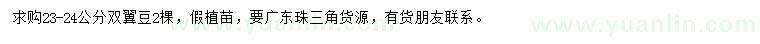 求購23-24公分雙翼豆