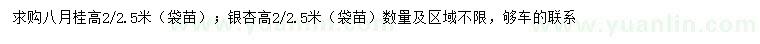 求購高2、2.5米八月桂、銀杏（袋苗）