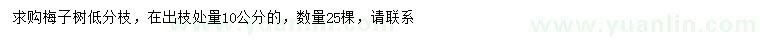 求購(gòu)10公分梅子樹(shù)