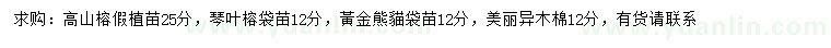 求購高山榕假植苗、琴葉榕袋苗、黃金熊貓袋苗等