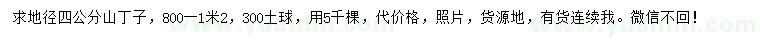 求購地徑4公分山丁子