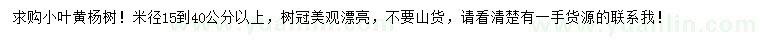求購米徑15-40公分以上小葉黃楊樹