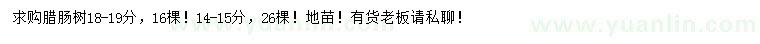 求購14-15、18-19公分臘腸樹