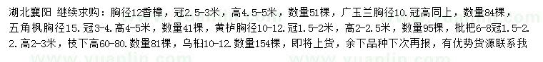 求購香樟、廣玉蘭、五角楓等