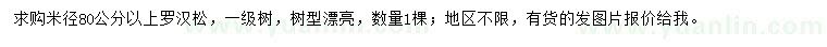 求購米徑80公分以上羅漢松