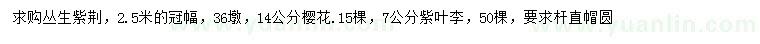 求購叢生紫荊、櫻花、紫葉李