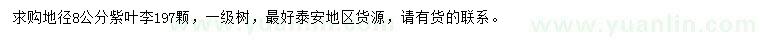 求購(gòu)地徑8公分紫葉李