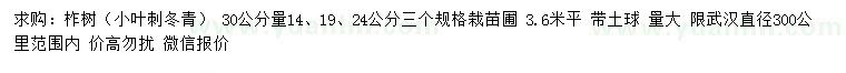 求購(gòu)30公分量14、19、24公分柞樹（小葉刺冬青）