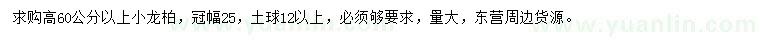 求購高60公分以上小龍柏