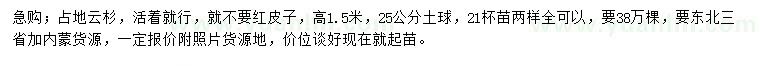 求購(gòu)高1.5米占地云杉