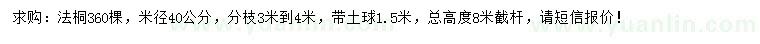 求購米徑40公分法桐