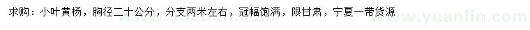 求購(gòu)胸徑20公分小葉黃楊