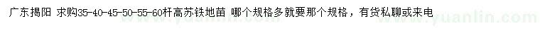 求購(gòu)桿高35、40、45、50、55、60公分蘇鐵地苗