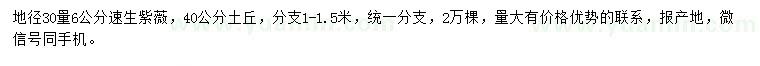 求購30量6公分速生紫薇