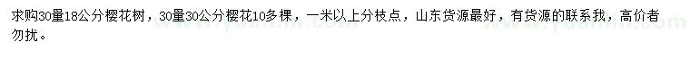 求購30量18、30公分櫻花