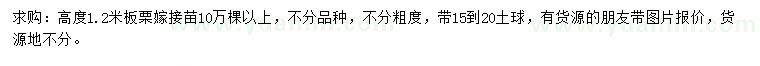 求購高1.2米板栗嫁接苗