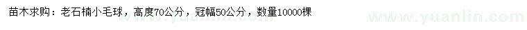 求購(gòu)高度70公分老石楠小毛球