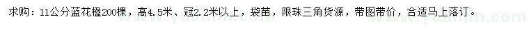 求購11公分藍花楹