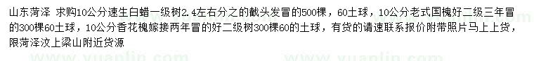 求購速生白蠟、老式國槐、香花槐