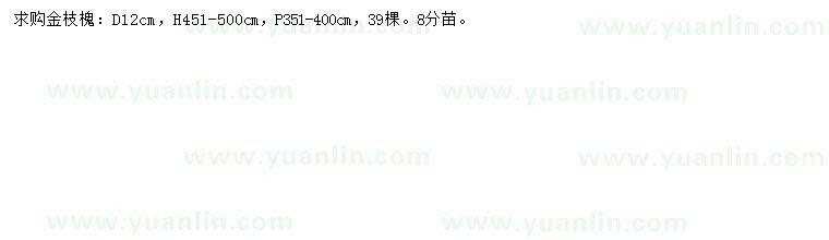 求購地徑12公分金枝槐