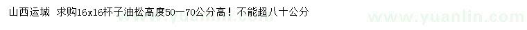 求購(gòu)高度50-70公分油松