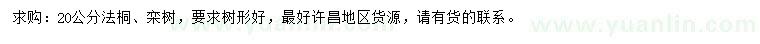 求購(gòu)20公分法桐、欒樹(shù)