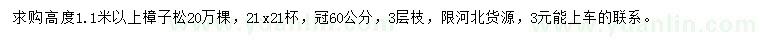 求購高度1.1米以上樟子松