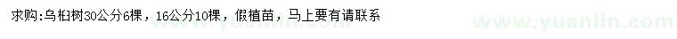 求購16、30公分烏桕樹