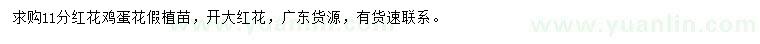 求購11公分紅花雞蛋花